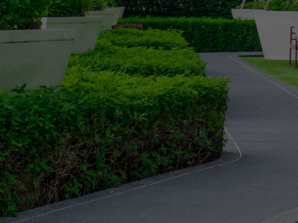 Montreal Commercial Landscaping